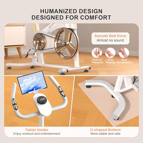 Image of Exercise Bikes for Home,Spin Bike with Adjustable Magnetic,Brake Pad Resistance Silent Belt Drive,350lbs /300lbs Weight Capacity &Upgraded Version Seat for Home Cardio&Weight Loss(QM-530W)