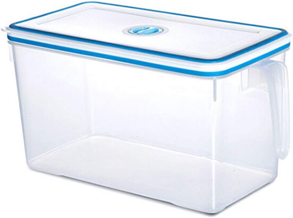 SAIVECH Food Storage Containers (2 Piece) Plastic Freezer Containers - Airtight & Reusable Refrigerator Organizer Set - Plastic Food Storage Boxes with Handles and Date Tables