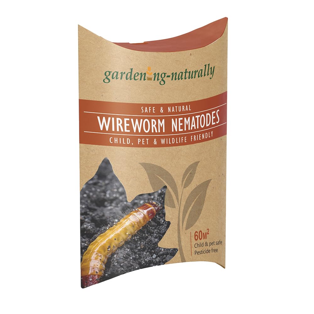 Wireworm Nematodes 60sqm Coverage Effective Control Safeguards Plants, Potatoes Easy Application Process for Wireworm Infestations