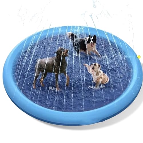 Are dogs allowed in public swimming pools