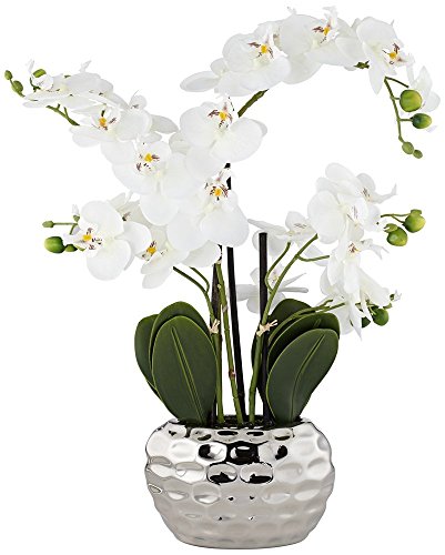 Dahlia Studios Potted Faux Artificial Flowers Arrangements Realistic White Phalaenopsis Orchid in Silver Pot Home Decoration Living Room Office Bedroom Bathroom Kitchen Dining Room 23