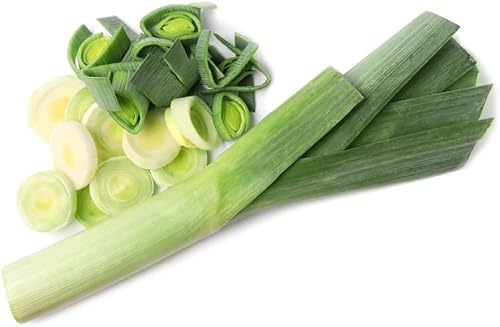 Miniatura 4 de Semillas grandes de puerro con bandera estadounidense para plantar, más de 500 semillas de reliquia por paquete, semillas de jardín de Isla