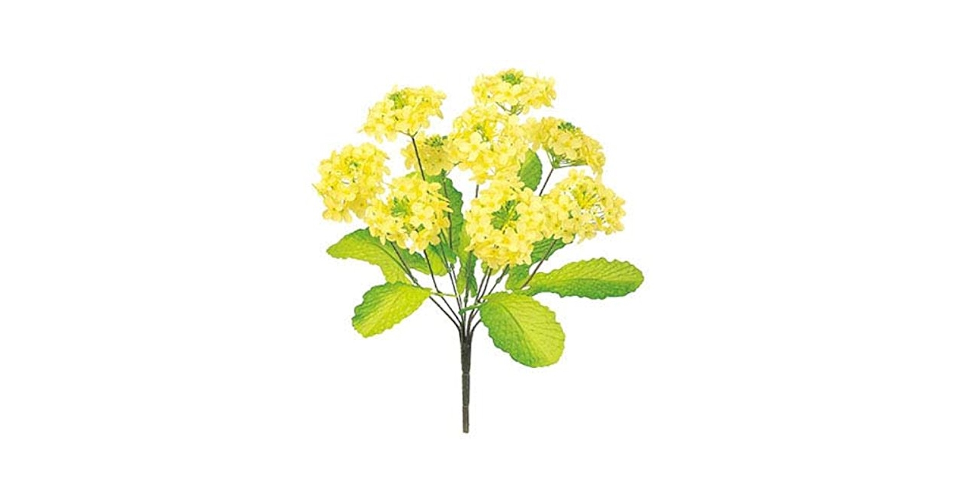 51lQvUChz1L.jpg_BO30,255,255,