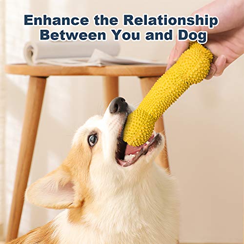Petper Cw-0096EU Quietschendes Hundespielzeug aus Latex, Welpenspielknochen mit Dornen, Spielzeug zum Spielen und zum Training
