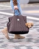 FLYING DOG EST. 2022 BORN TO BE DOG