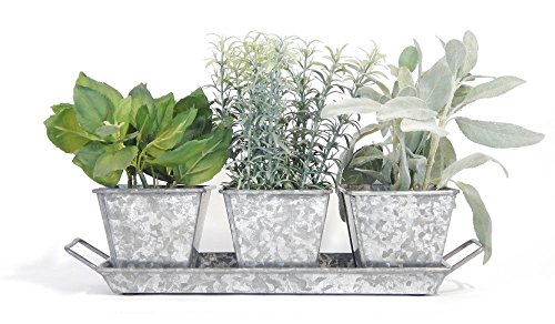 Garden Planter Herb Kit (Galvanized) - Organic Herb Seeds