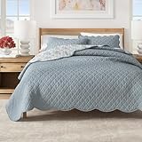 Great Bay Home Twin/Twin XL 100% Cotton Scallopeded Quilt Set with Shams - Reversible Blue Floral - Lightweight, Breathable, All-Season Bedding - 2-Piece Twin Bed Set (Thriving Flowers)