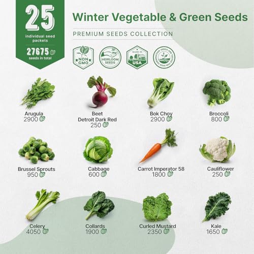 Organo Republic 25 Winter Vegetable & Green Seeds Variety Pack for Outdoors & Indoor Home Gardening 27670+ Non-GMO Heirloom Seeds: Broccoli Beet Carrot Collard Lettuce Radish Spinach Pea Kohlrabi - Image 4
