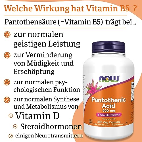 Vitamin B5 von Now Foods, Pantothensäure, 500 mg Kapseln