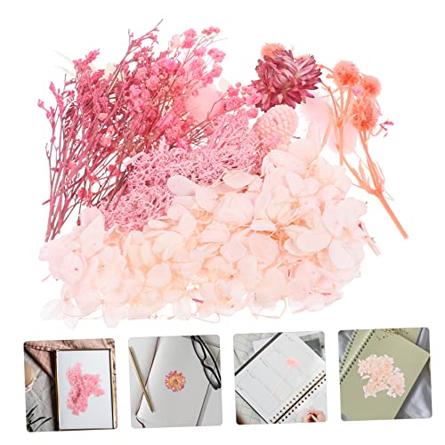 Flores secas prensadas naturales para manualidades 100 piezas miniatura 7