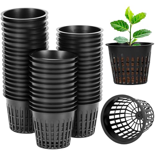 QWORK® 50 Piezas macetas de Malla de 8 cm, Maceta hidropónica plastico, para Cultivo hidropónico y en Tierra, Color Negro