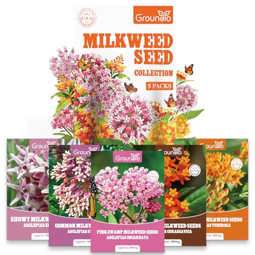 Groundio Milkweed Seeds for Planting Attract Monarch Butterflies & Pollinators 5 Individual Packs Flower Seeds -Tropical Butterfly Common Showy Pink Swamp Non-GMO Perennial Wildflower Seeds