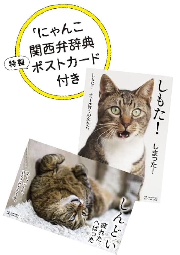 極希少品❗️これで充分四字熟語 Amazon.co.jp: これで充分四字熟語 (実用ポシェット) : Japanese