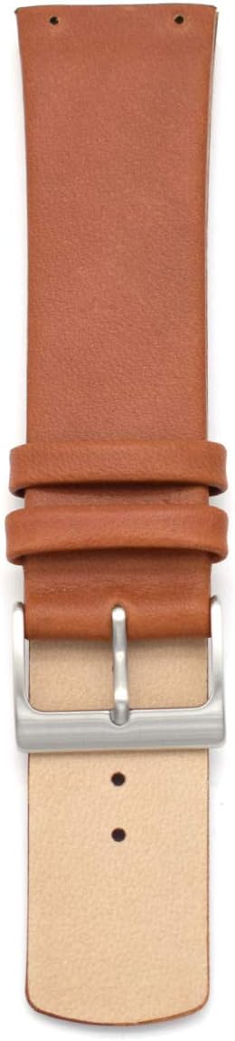 Ascend Replacement Watch Band for Skagen Mens Watches 22mm with Screws