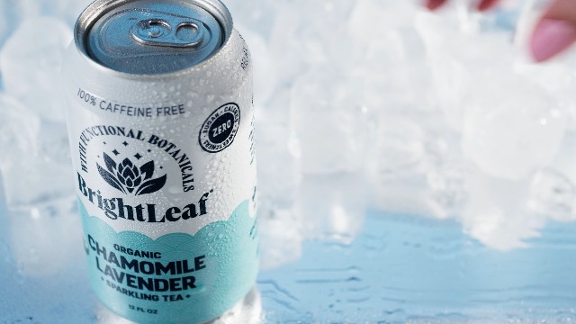Amazon.com : BrightLeaf Jasmine Green Sparkling Tea For Focus