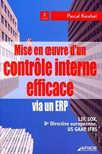 Mise en oeuvre d'un contrôle interne efficace via un ERP PDF Ebook En Ligne
