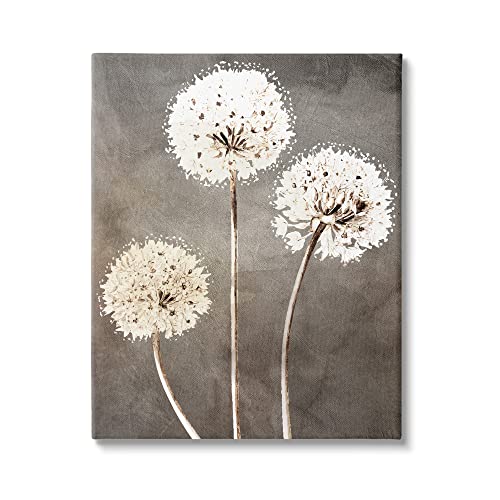 Stupell Industries Fluffy Dandelion Plants Wildflower Botanical Blooms, Design by Kim Allen