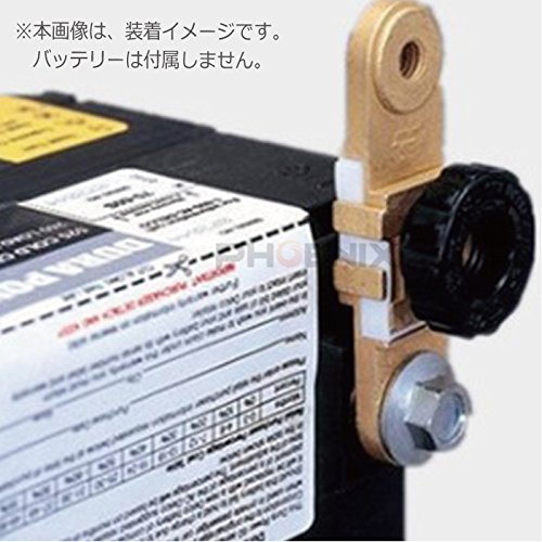 Amazon.co.jp: PHOENIX キルスイッチ GM車用 黒 サイドターミナル