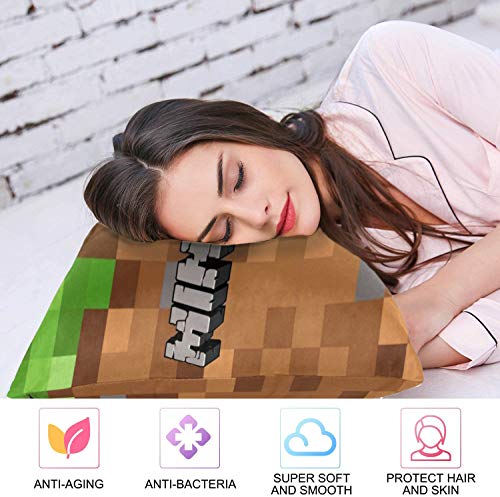 Rectangular Decorative Pillowcase Cover, Zippered Oblong Pillow Protector Sham, Mine_Craft Lumbar Waist Cushion Throw Pillow Cover for Sofa Couch Bed Chair Home Decor (No Pillow Insert) (20\'\' x 30\'\')