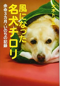Tankobon Hardcover ?????????? ??3??·?????? (????????·??????16) Book
