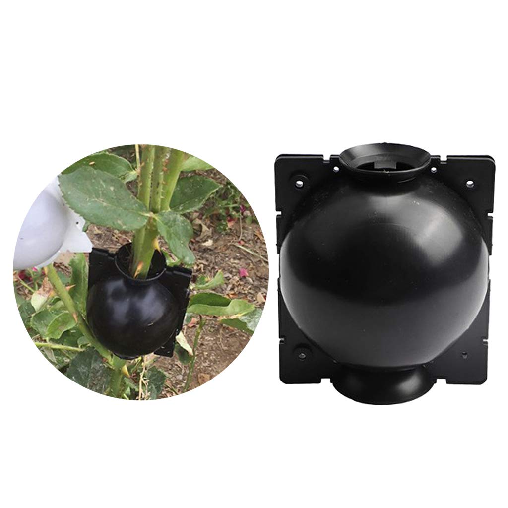 See full amazon price history chart for UJEAVETTE® Plants Rooting Device High Pressure Propagation Ball Grafting Case Black_S UJEAVETTE® Plants Rooting Device High Pressure Propagation Ball Grafting Case Black_S (B0CSKBJYF2) Amazon Price History, Amazon Price Tracker