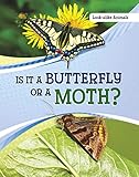 Is It a Butterfly or a Moth? (Look-Alike Animals)