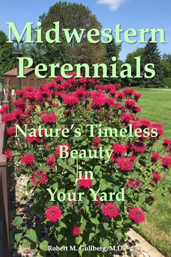 Midwest Perennials: Nature's Timeless Beauty in Your Yard