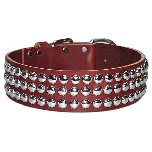 Collier chien cuir Latigo noir XL orné de clous robustes Omni Pet