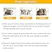 YeulYuuri Pet Feeding Bottle and Syringe Set for Puppies and Kittens(1 Bottles,2 Syringes,6 Nipples), Green