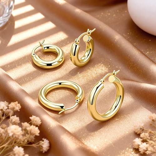 Image of Chunky Hoop Earrings for Women Small Huggie Hoops Earrings Fashion Jewelry