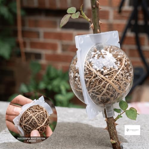 Image of Plant Rooting Ball - Reusable Air Layering Propagation Ball for Grafting, Root Growth & Cutting Propagation - Transparent Plastic Root Growing Box with Secure Lock for Indoor & Outdoor Plants