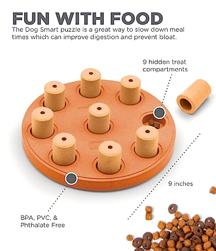 Outward Hound Nina Ottosson Dog Smart Orange Composite Interactive Treat Puzzle Dog Toy #TOP4