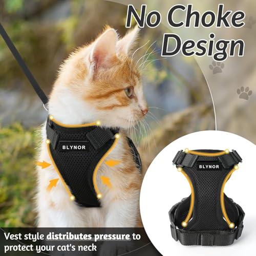 Image of No Pull Cat Harness and Leash Set for Walking - Escape Proof, Soft Air Mesh, Adjustable Vest Harness for Kittens, Cats, Puppy - Lightweight & Comfortable (Queen Pink, XS)