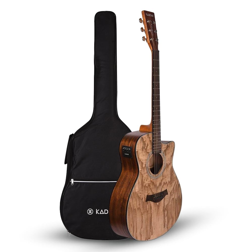 Amazon.com: Kadence A06EQ Acoustica 40