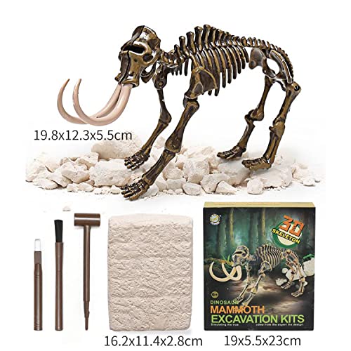 Georgie Porgy Dig it Out dinosauro gemma minerale