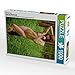Produktbild CALVENDO Puzzle Nackt im Grunewald 1000 Teile Lege-Größe 48 x 64 cm Foto-Puzzle Bild von Horst Werner
