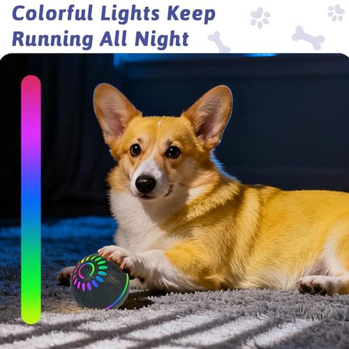 Pipihome Interaktives Hundespielzeug Ball, Hundeball Elektrisch Automatisch Rollender mit LED-Lichtern Spielball, Hundespielzeug Intelligenz für Kleine/mittlere/große Hunde, USB Wiederaufladbar