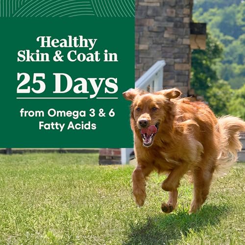 Image of Nutro Natural Choice Large Breed Adult Dry Dog Food, Chicken & Rice, 30 lb
