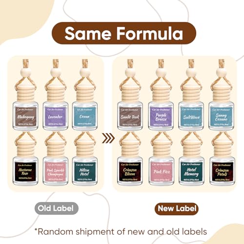 Image of 6 Pack Car Air Freshener, Hanging Essential Oil Air Freshener