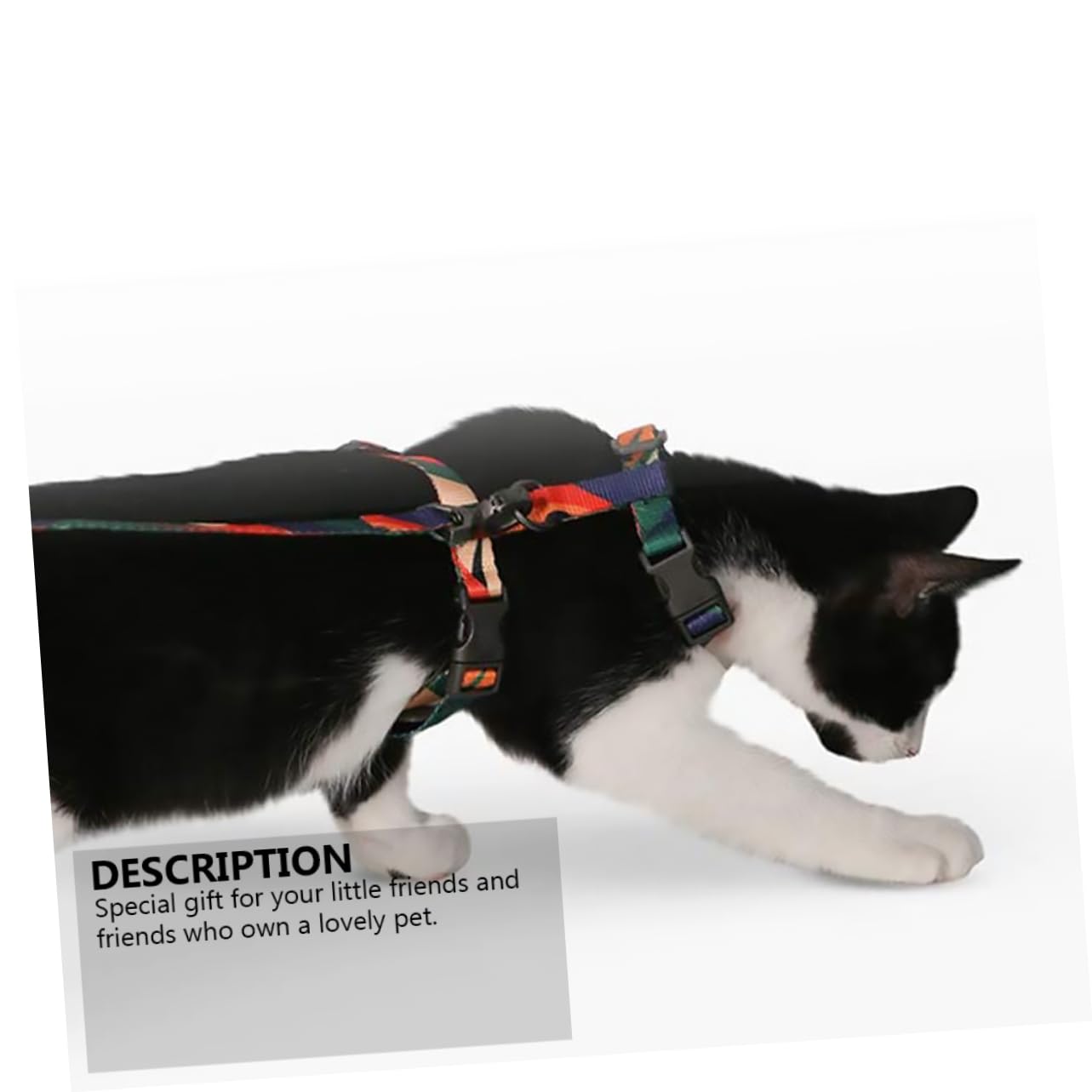 Didiseaon 3pièces pour Chat avec Laisse Anti-Traction Et Pom Confort Et Ajustement Facile pour Extérieur