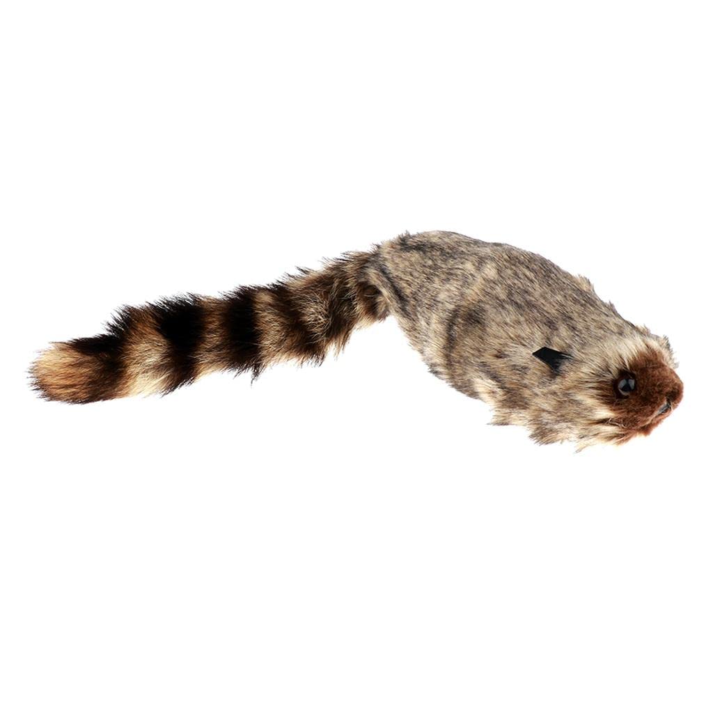 Zaubertrick Waschbär Mit Plüsch Und Metall