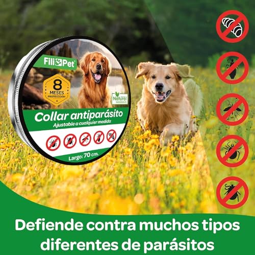 Anti-parasieten Halsband voor Honden | Effectief tegen Vlooien, Teken, Muggen en Luizen | Waterbestendig | Verstelbaar 70 cm | Bescherming Van 8 Maanden (Grün, 70cm)