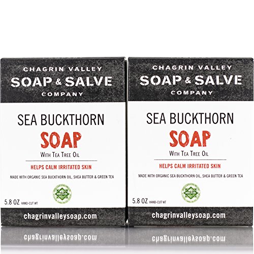 Chagrin Valley Soap & Salve - Organic Natural Soap Bar - Seabuckthorn & Tea Tree Soap 2X Pack