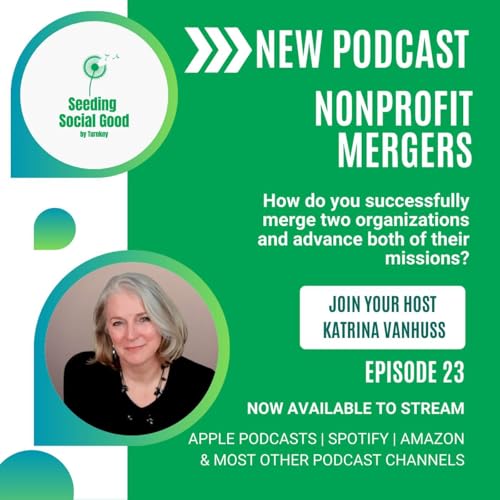 Page de couverture de Nonprofit Mergers