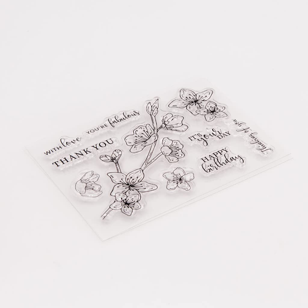 Telaio Di Olive. Illustrazioni Vettoriali Di Rami Con Frutta E Foglie Per La Creazione Di Loghi Schemi Biglietti Auguri Modelli Inviti Image248542800