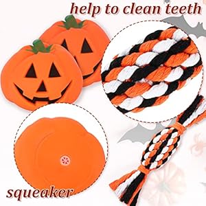   Whaline-7Pcs-Halloween-Pet-Toys-Pumpkin-Bone-Shape-Squeak-Toys-Sturdy-Cotton-Rope-Chewing-Toys-Orange-Black-Soft-Triangle-Scarf-Puppy-Teeth-Cleaning-Toys-for-Small-Medium-Dogs-Halloween-Decoration