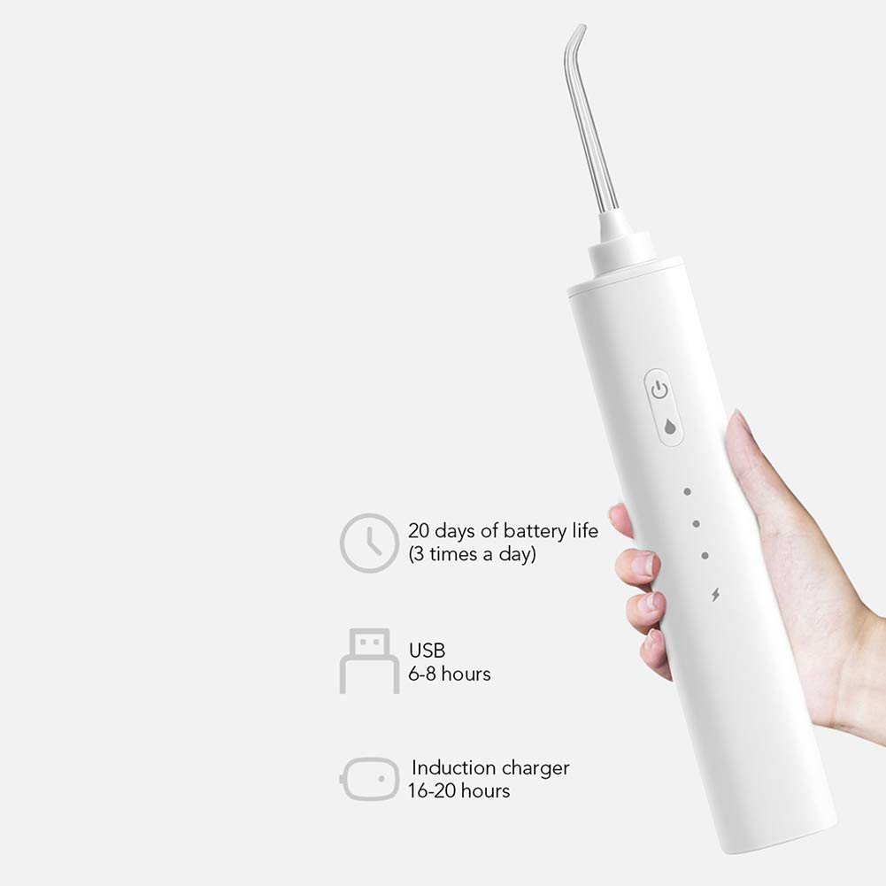 Mini Limpiador de Dientes eléctrico Recargable de irrigador bucal Dental inalámbrico con 4 boquillas, Nivel de 3 Engranajes, para la Oficina de Viajes domésticos