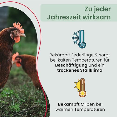 Foto von Cumbasil Mite Staubbad für Hühner 25kg, Sandbad Pulver gegen Milben, Milbenmittel Hühner, natürlicher Milbenschutz, Puder