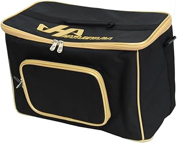 グローブケース プロステイタス ゼット 野球 グラブケース 2個入れ ZETT BASEBALL