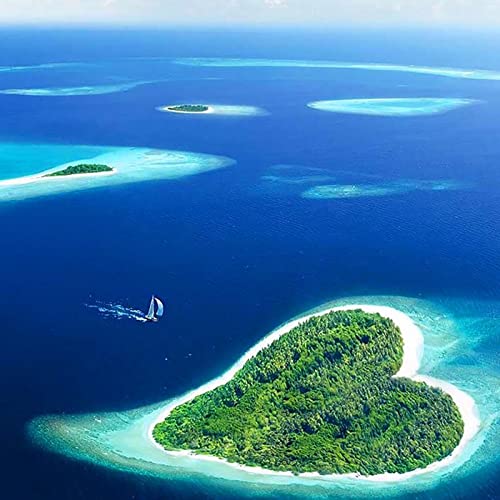 Couverture de La m&eacute;t&eacute;o du jour